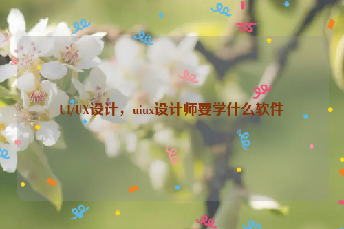 UI/UX设计，uiux设计师要学什么软件