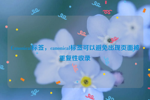 Canonical标签，canonical标签可以避免出现页面被重复性收录