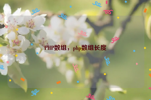 PHP数组，php数组长度