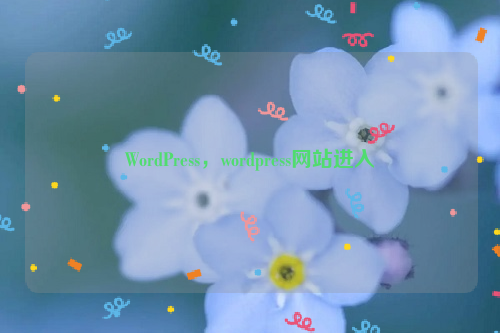 WordPress，wordpress网站进入