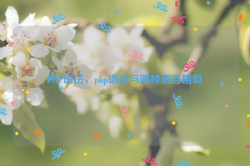 PHP语法，php语法与哪种语言相似