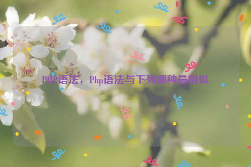 PHP语法，Php语法与下列哪种最相似